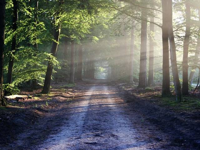 La formation d'éducateur spécialisé en alternance : un chemin vers l'excellence